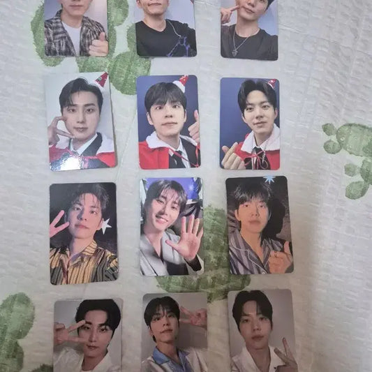 DAY6 데이식스 콘서트, 팬미팅 입장 포카 양도