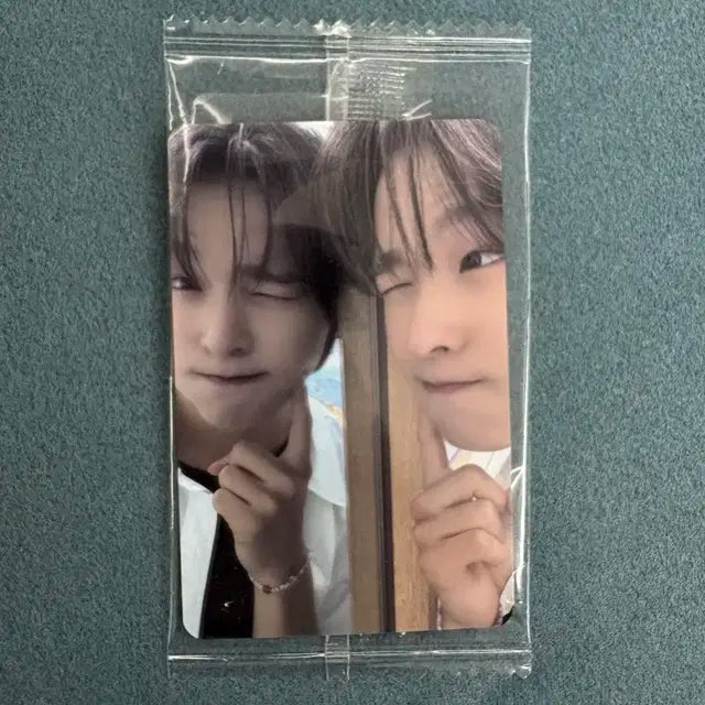 엔시티 위시 리쿠 케타포 거울 포카 미개봉