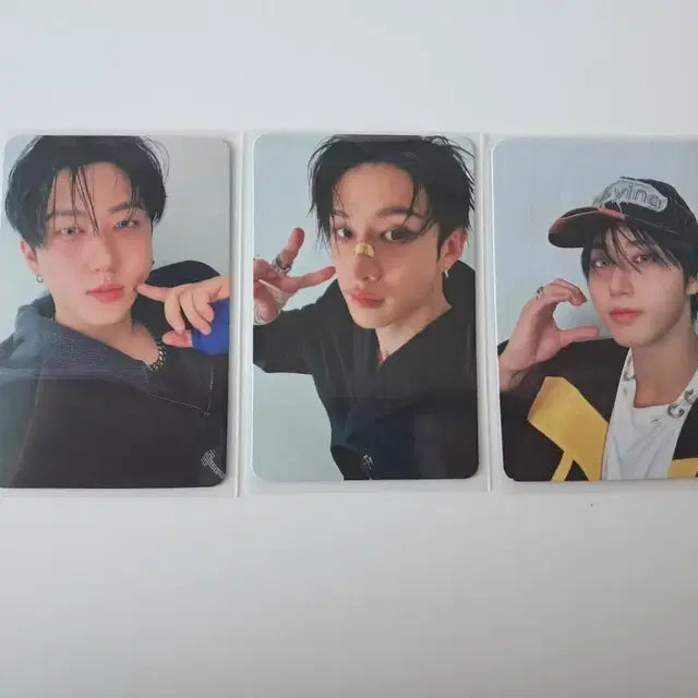 방찬 창빈 한 아코디언 포카