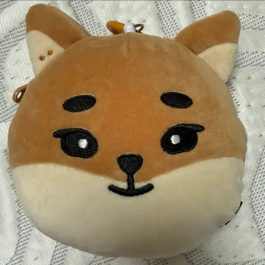 데이식스 영케이 데니멀즈 릴패스 파우치 케둥이 원가양도