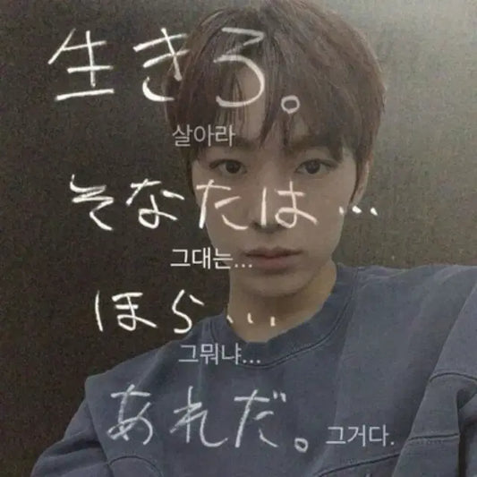 엔시티위시 컬러 애플뮤직 특전 분철 양도 시온 리쿠
