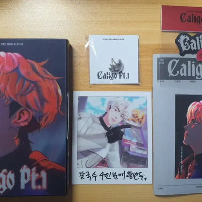 플레이브 칼리고 뱅가드 버전 슈참 포함 개봉앨범 양도