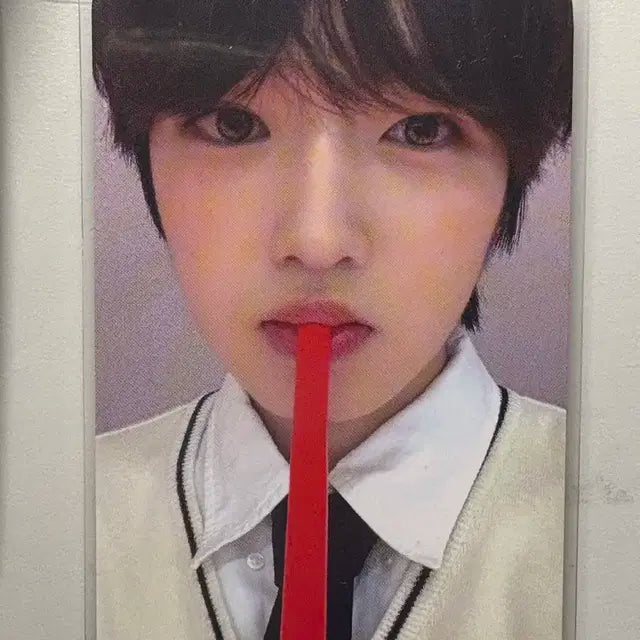 반택포 사쿠야 공차 스테디 위드뮤 포카 양도