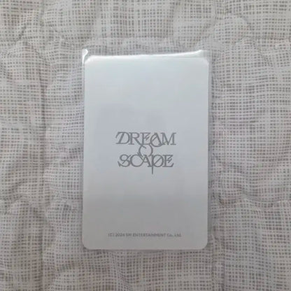 엔시티드림 지성 포카 더드림쇼3 포춘 dreamscape