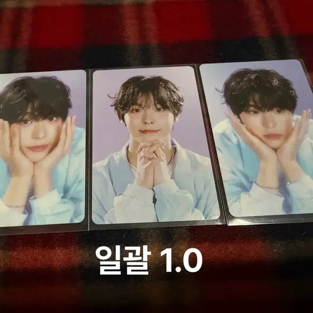 엔시티 위시 그리팅 포카(전멤버 각각 일괄)