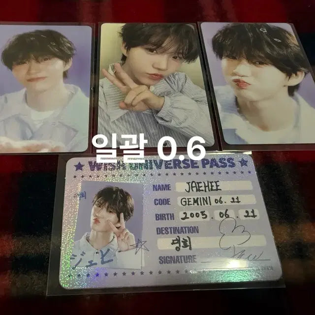 엔시티 위시 그리팅 포카(전멤버 각각 일괄)