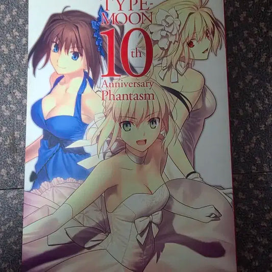 TYPE MOON 타입문 10주년 기념 화보집