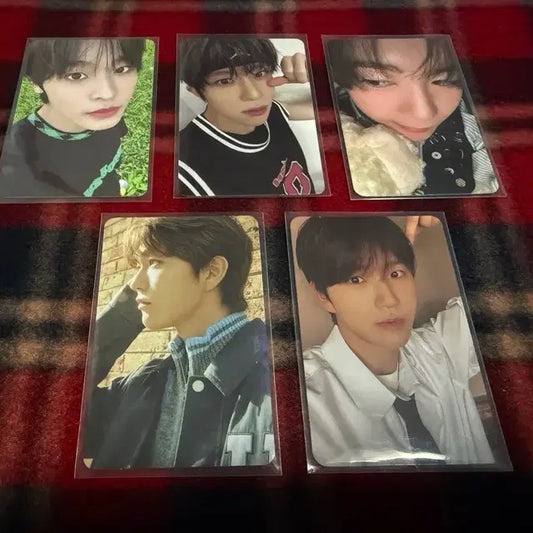 엔시티 위시 포카