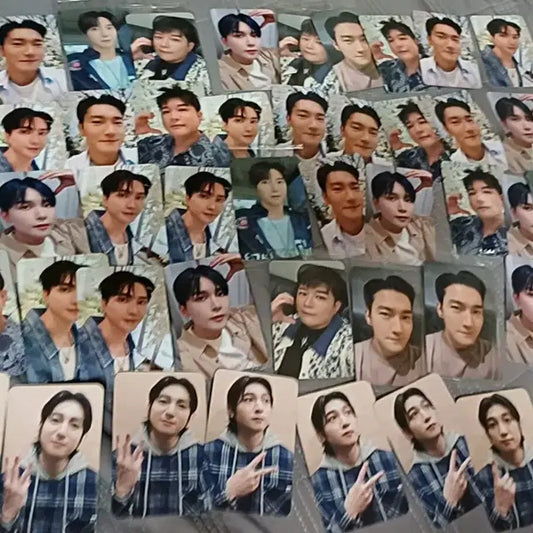 슈퍼주니어 포카 미공포 데이식스 포카 48장 일괄만