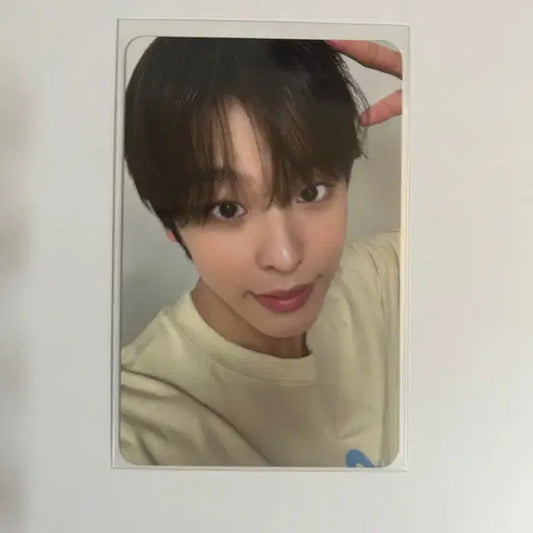 엔시티 위시 스테디 팝업 포카 리쿠 5만원 특전