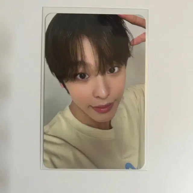 엔시티 위시 스테디 팝업 포카 리쿠 5만원 특전