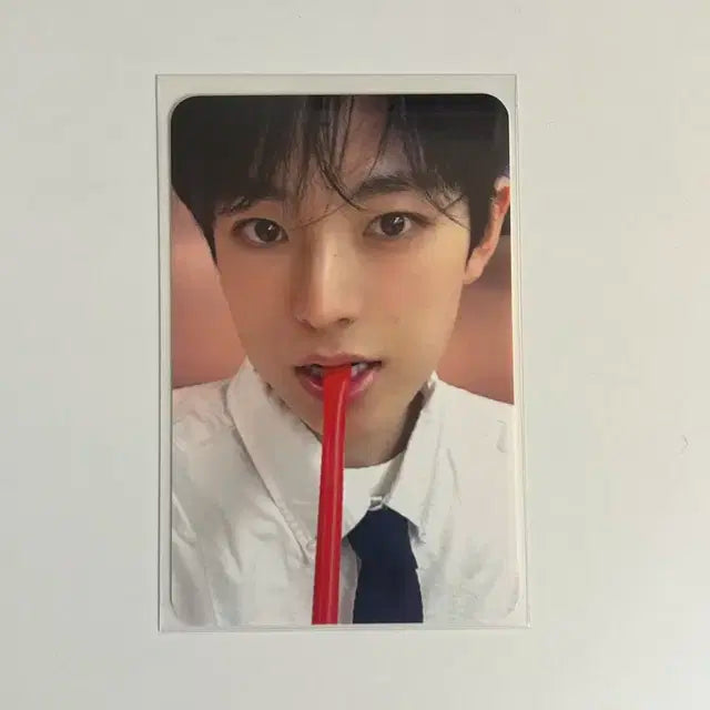 스테디 애플뮤직 유우시 포카 양도 판매 버블티 엔시티위시