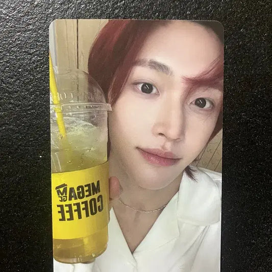 메가 원빈포카