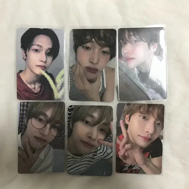 라이즈 원빈 포카 미공포 럭드 판매 쇼타로은석성찬원빈소희앤톤