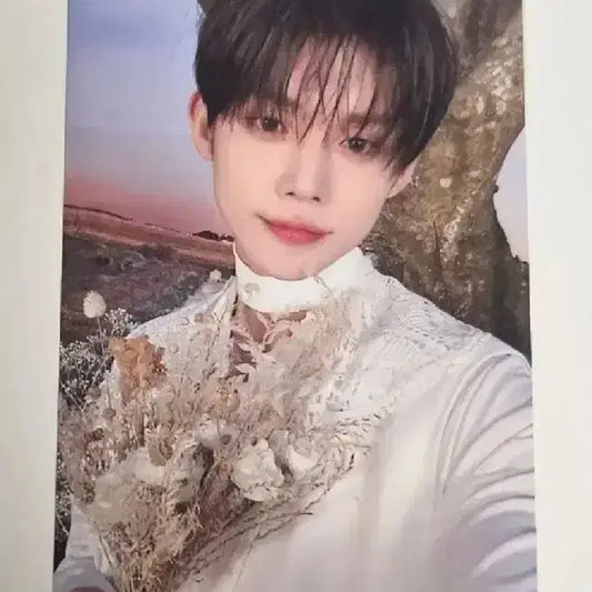 연준 모아존 포카 양도