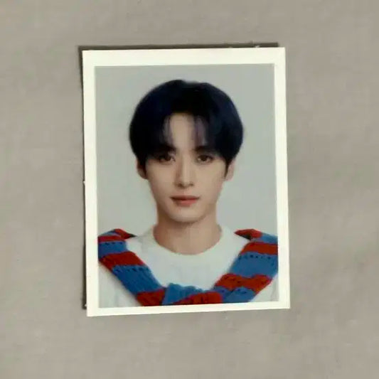 스키즈 리노 증사팔아용