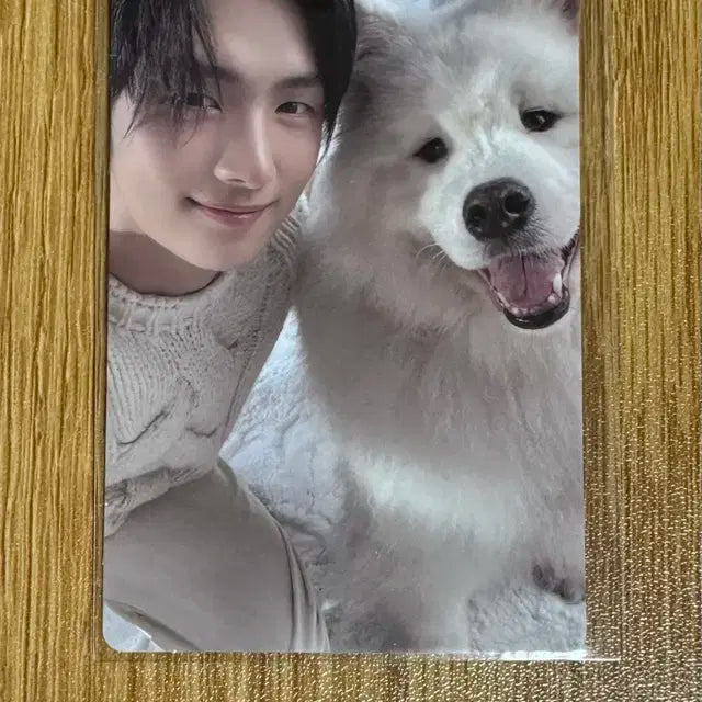 투어스 영재 컴팩트 버전 앨범 포카 앨포