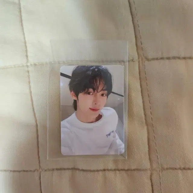 투어스 미니포카 요아정 한진 경민