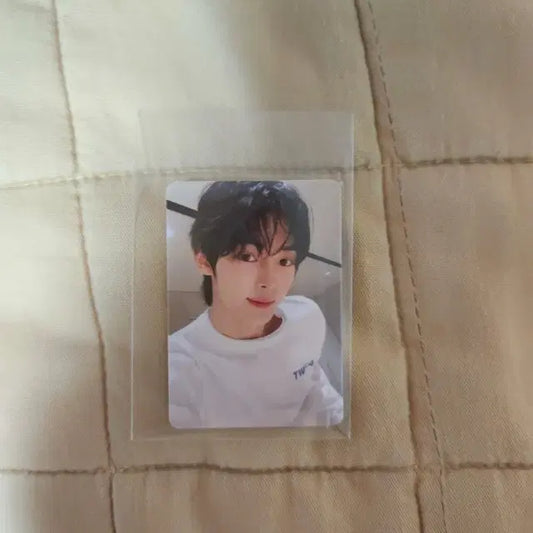 투어스 미니포카 요아정 한진 경민