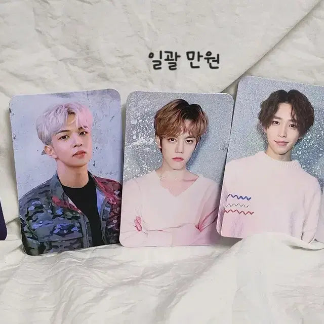 엔플라잉 공굿 비공굿 포카