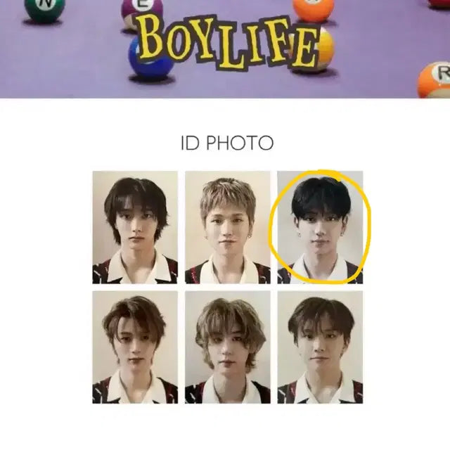 보이라이프 증사