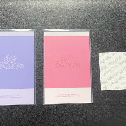 스키즈 파이브클락 폴라 증명사진