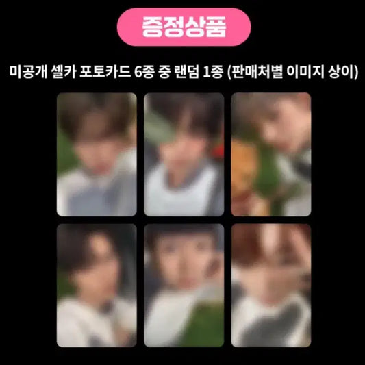 엔시티위시 color 쥬얼 케타포 분철
