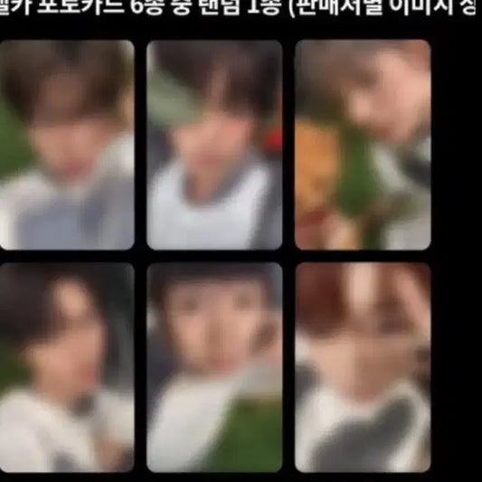 엔시티 위시 컬러 쥬얼 케타포 분철