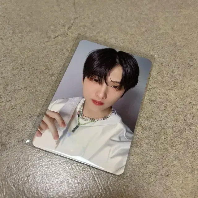 지성 포카