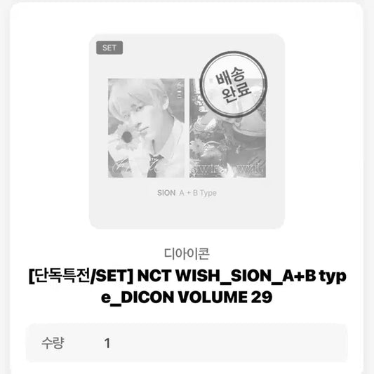 디아이콘 위시 시온 A+B 카카오톡 선물하기 특전 풀셋 미개봉