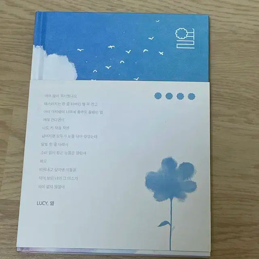 루시 열 앨범
