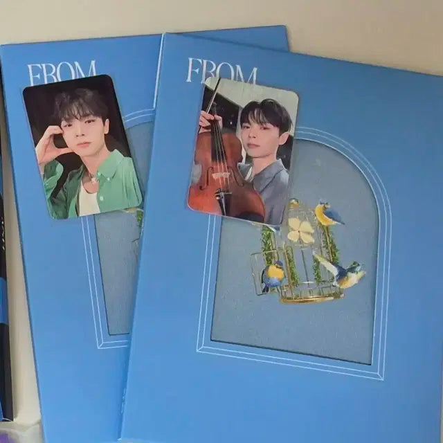 루시 프롬 앨범