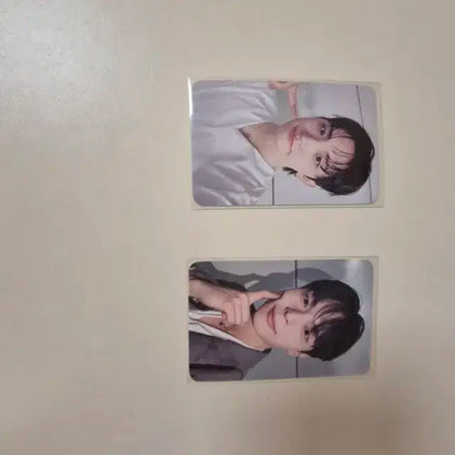 루시 프롬 앨범