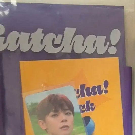 루시 갓챠 앨범