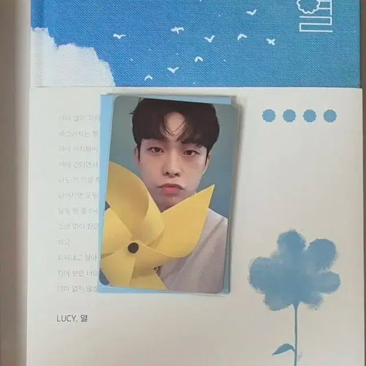 루시 열 앨범