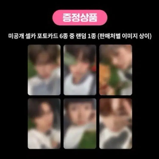 엔시티위시 컬러 쥬얼 케타포 분철