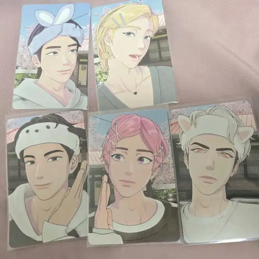 플레이브 메디힐 1차 포카