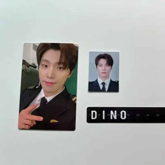 항공틴 디노 포카