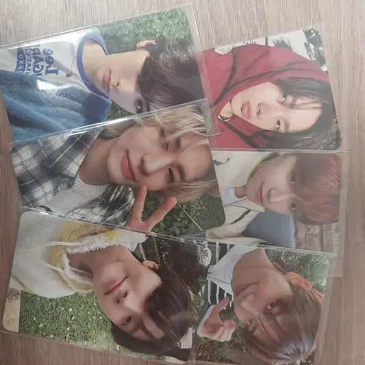 보넥도 콜렉티드북