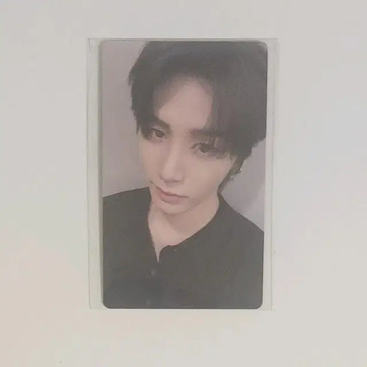 보넥도 태산 노장르 롤라팔루자 태산