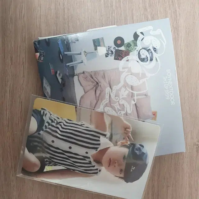 보넥도 아기포카