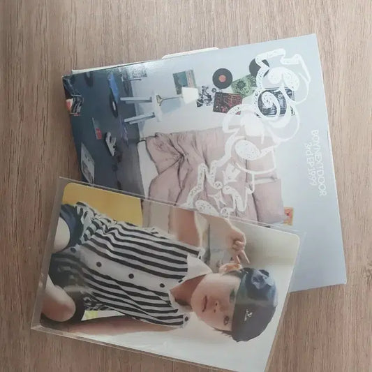 보넥도 아기포카