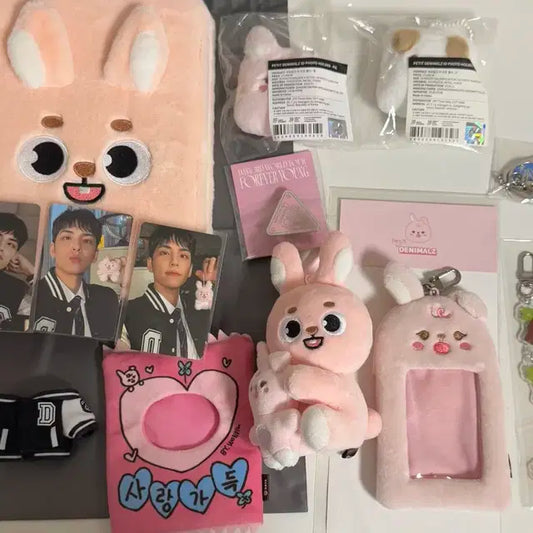 데이식스 데니멀즈쁘띠멀즈 원필 필끼