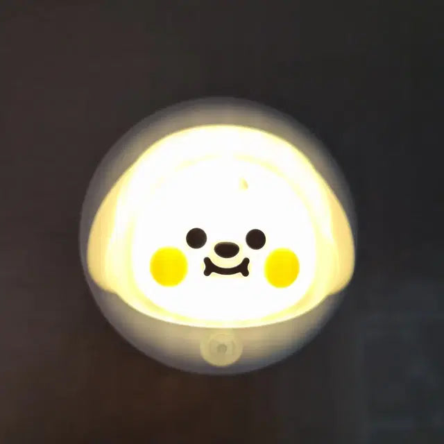 방탄 BT21 센서등 팝니다 (치미)