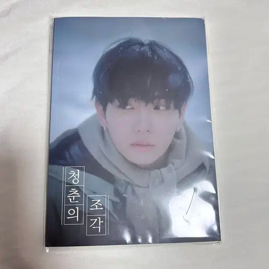 보넥도 보이넥스트도어 청춘의 조각 어록북 재현 솔로