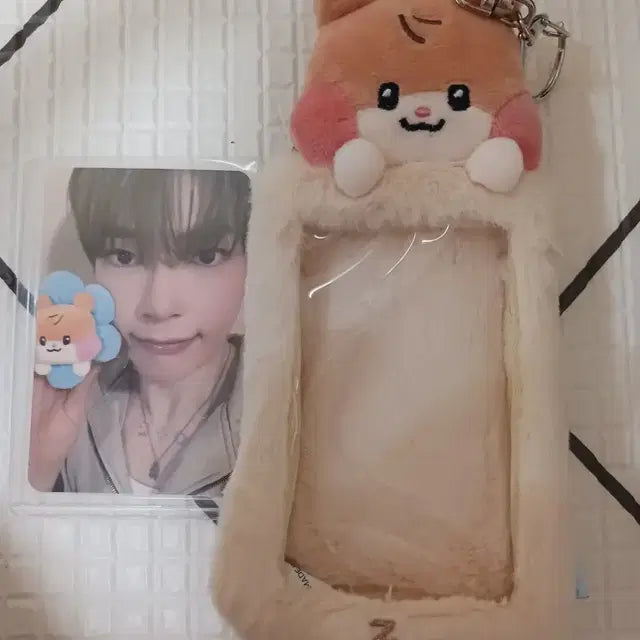 제베원 비니니 포카홀더