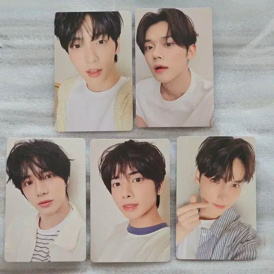 (태현) 투바투 썸머 투게더 일본 굿즈 티셔츠 포카 특전 분철