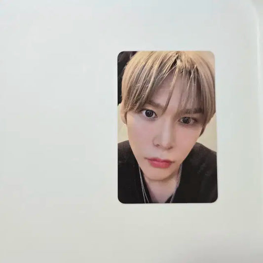 라이즈 은석 포카 일본 Exclusive