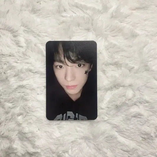유우시 로그인 엠디 위시돌 인형포카