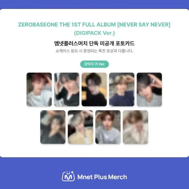 김지웅 리키 원가분철 ) 제베원 엠넷플러스 머치 강아지귀 미공포 분철합니